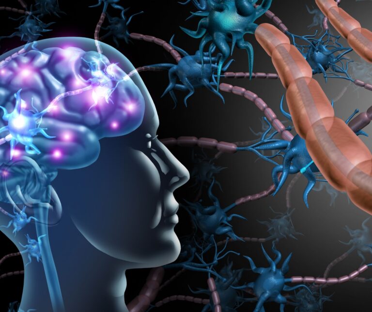 Brain Map – harta care dezvăluie funcționarea creierului tău