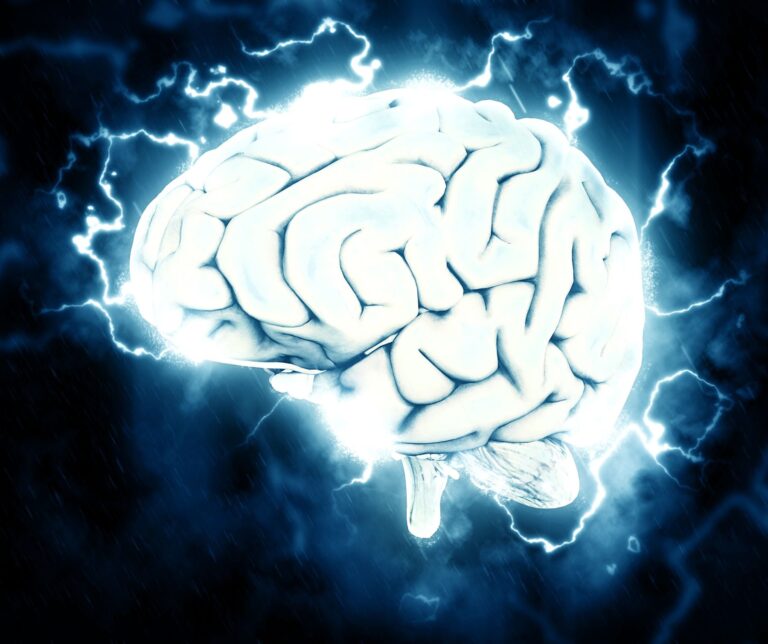 Neurofeedback și echilibrul creierului: cum învață creierul să se autoregleze